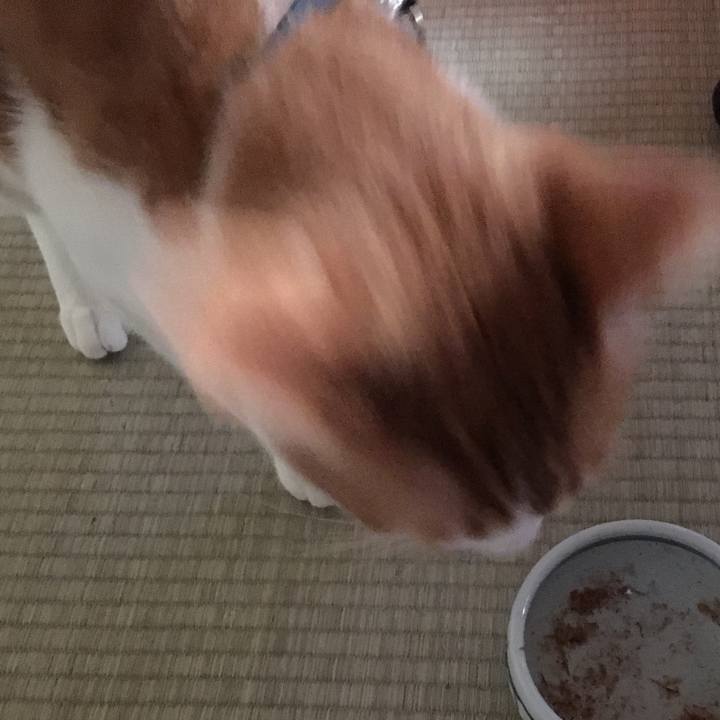 845a6c82 a8f7 4058 9159 a2b840033c92