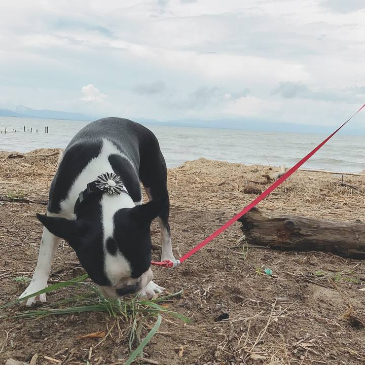 845a8672 a238 4c1e b914 a7030071443a