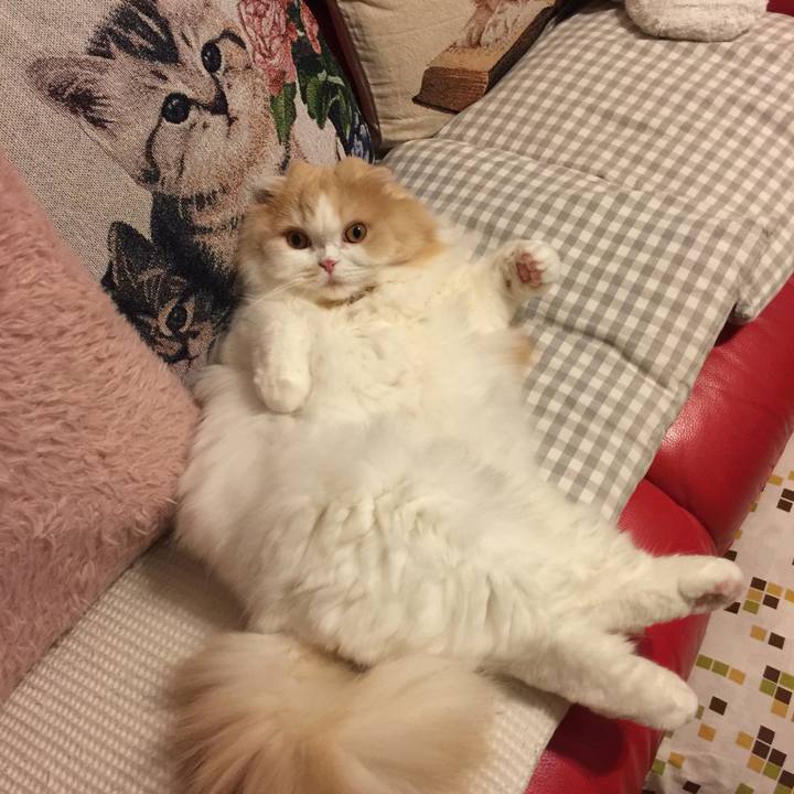 845a878d 52af 46b4 9011 8ff0bc5d54d2