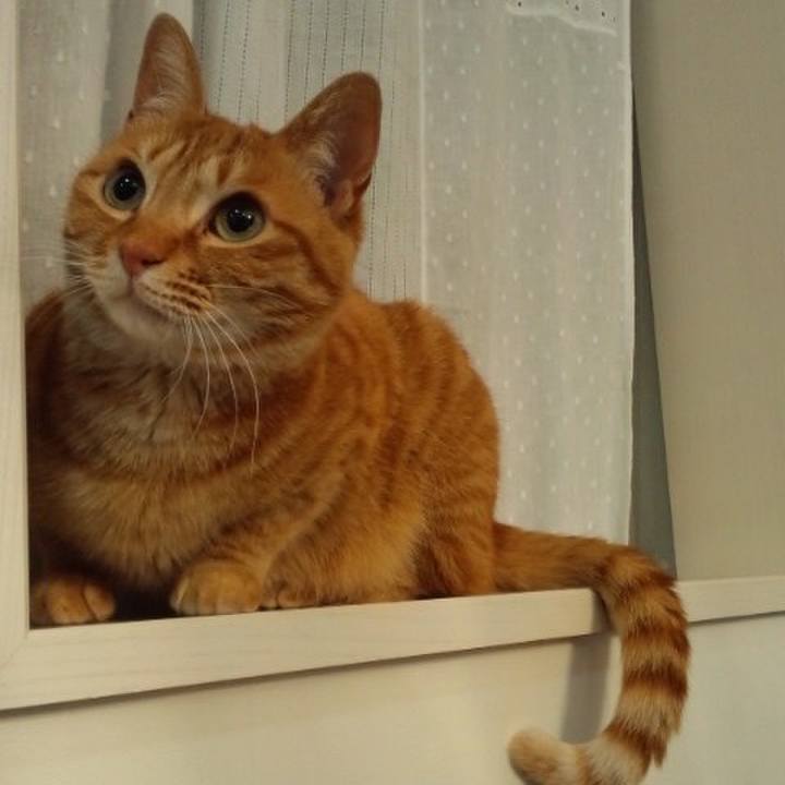 845ac4a8 af10 4748 a306 01b982a1dffa