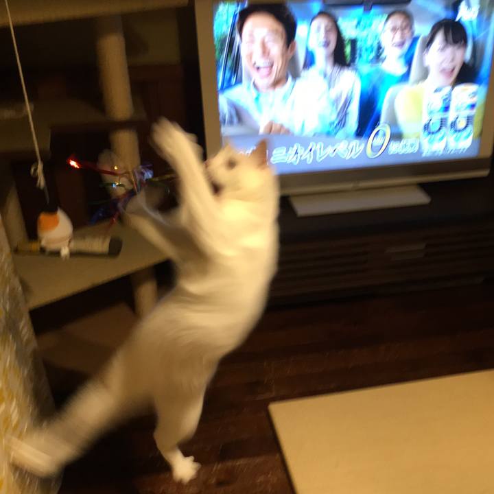 845aca8d 929e 4ae4 ba9d f80975041df1