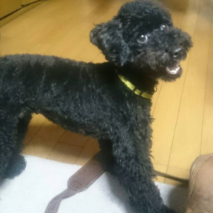 845b1d5e d23d 4e6c b39b c47098460a65