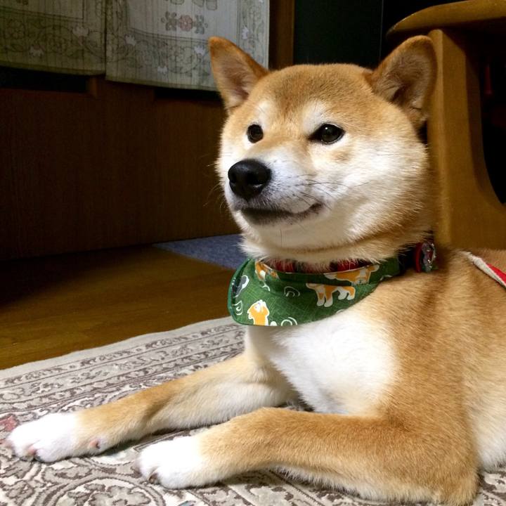 845b38d6 d77c 43a4 95c4 cf998db43641