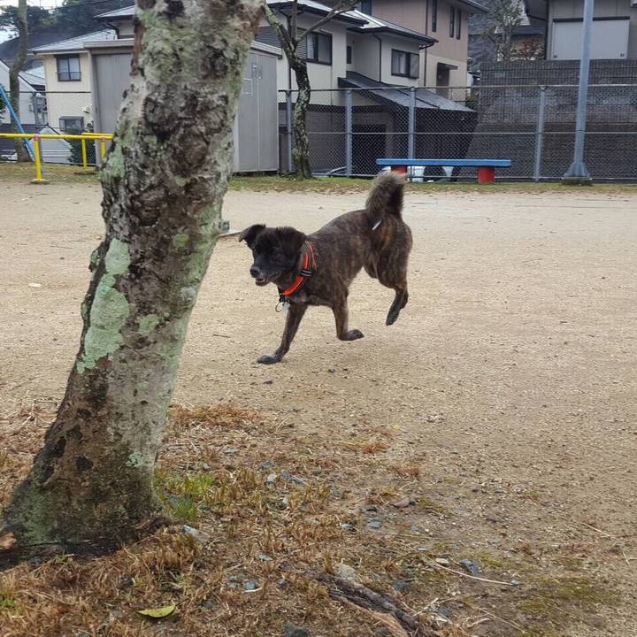 845ba4a1 c653 42fb 8e8f b53744662d57