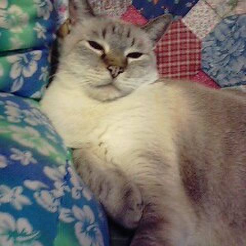 845bb457 1f44 49ed 9867 fa63935af394