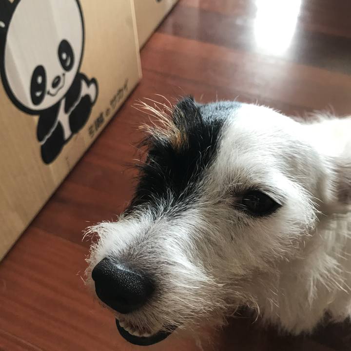 845cef78 63e6 47e8 8b81 c85f6de852ac