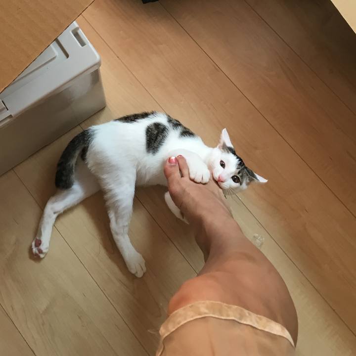 845d3b47 709e 4dad b595 28d52f67db96