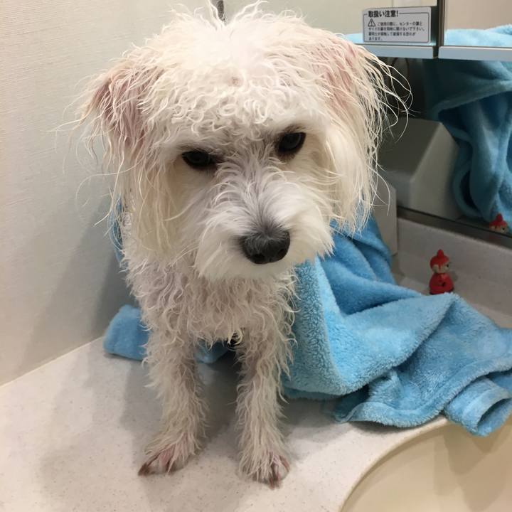 845d7605 cab9 49ea 81f6 7a9107eb003e