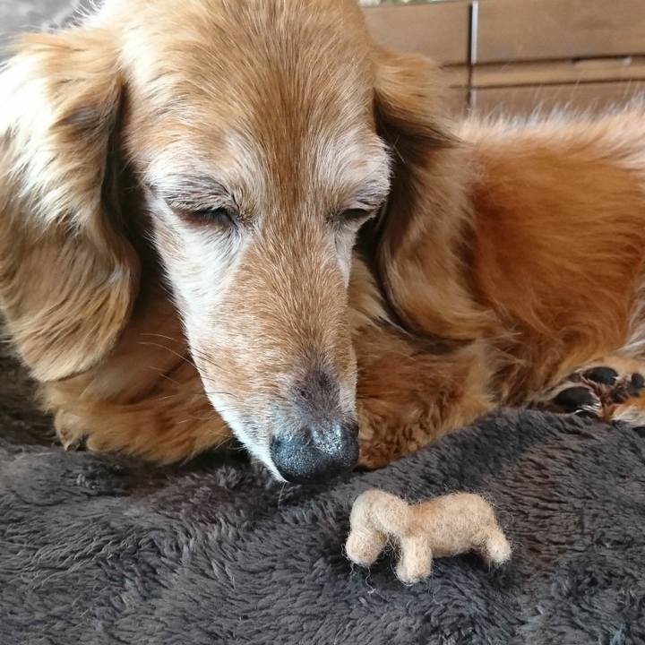 845e32e6 b935 472e a353 d016d6cd1075