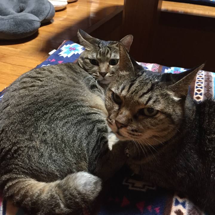 845feab6 455f 45c6 915e a8f582d7adb7