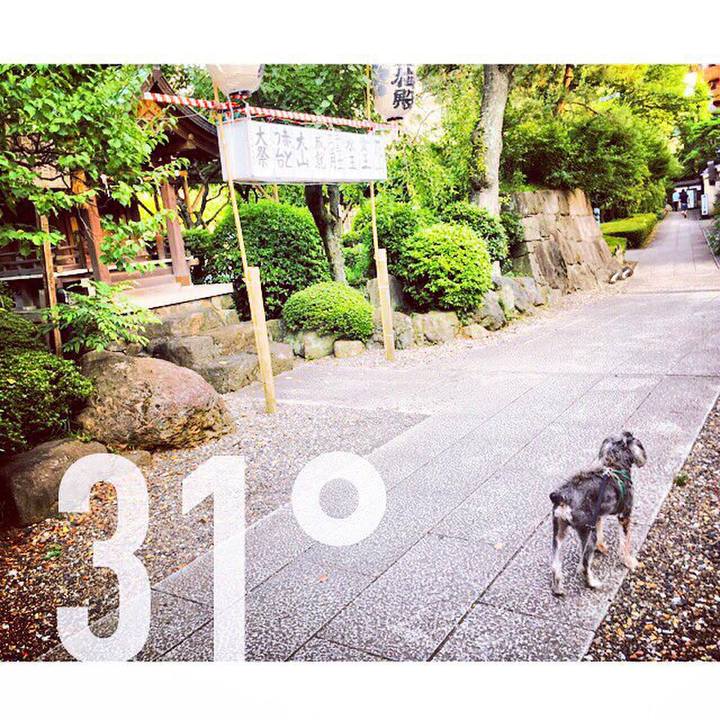 845ffd07 bc1d 4524 8394 6d9c178fd60a