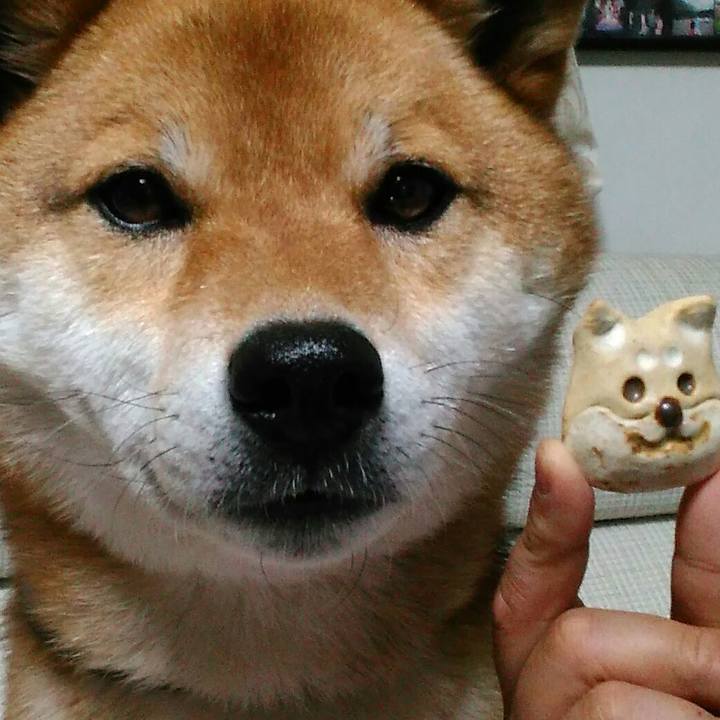 8460149d bd72 44e8 92bd 7f4cca0757e9