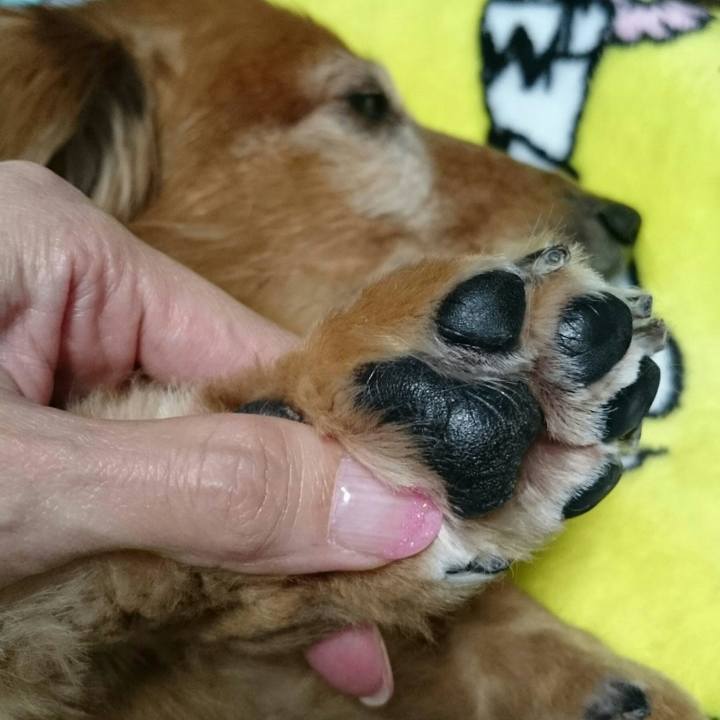 8461d9d4 66fd 4a06 9bab ee339a1cfb6c