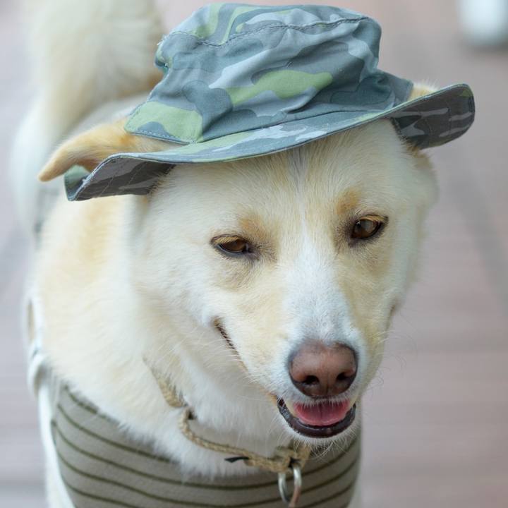 8462cada 15e8 4826 95a6 ddb7cb7f8702