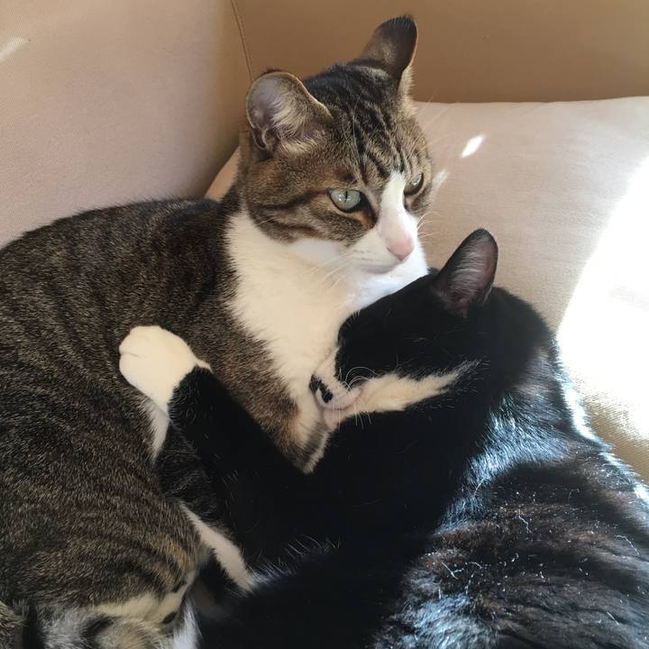 84635d9a e14e 44b8 9537 36c5eeddf736