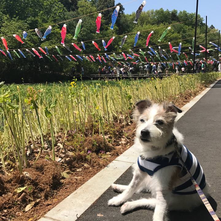 846434fd be64 4116 9a1d a2046383643e