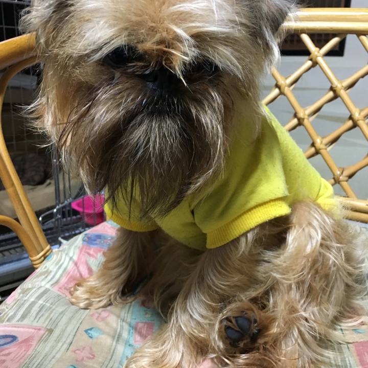 846457f7 2aa3 41dd 9d8a cc95929362c2