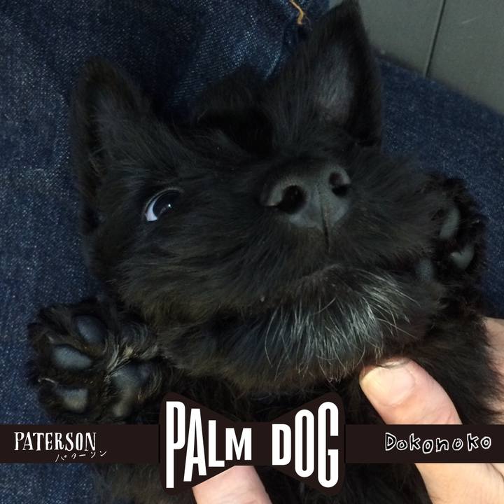 8464a075 d192 4f9d 9840 5d92c69366e8