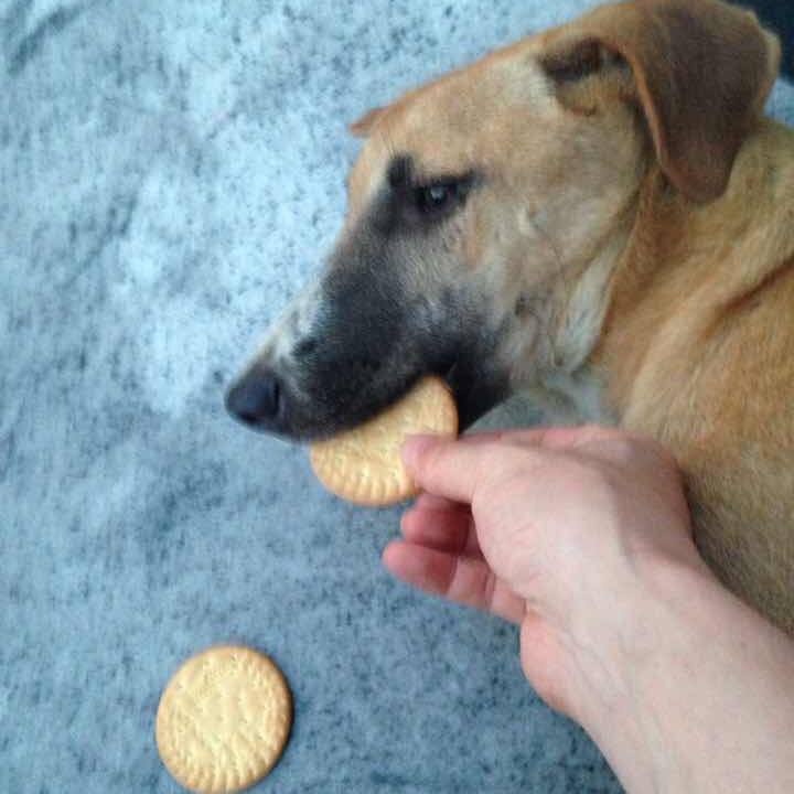 84650017 abf8 4509 9e32 bf0db575c078