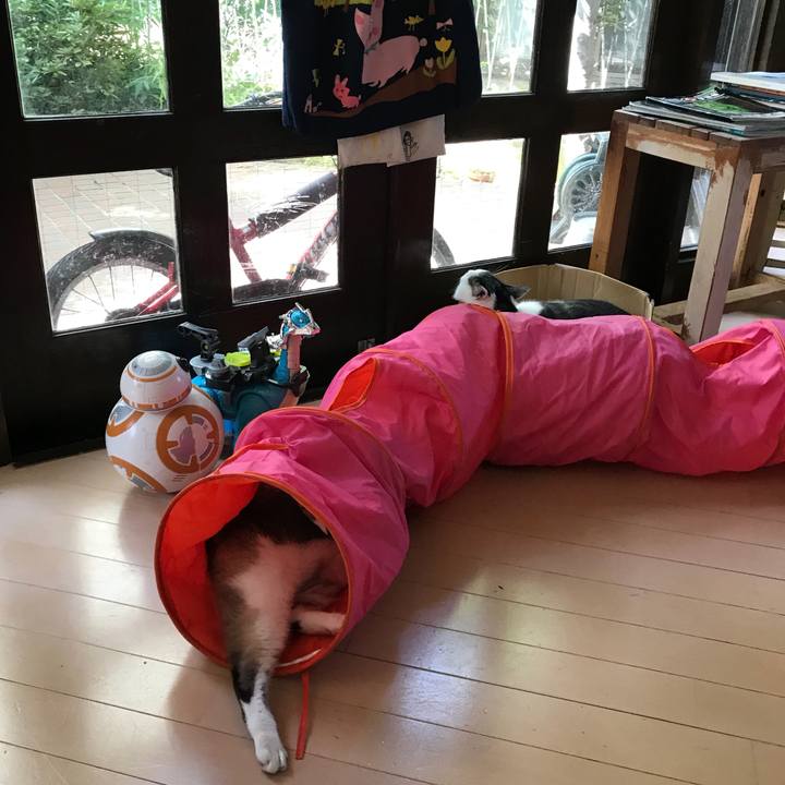 8465c216 8da0 4af6 b251 bfe42e688d38