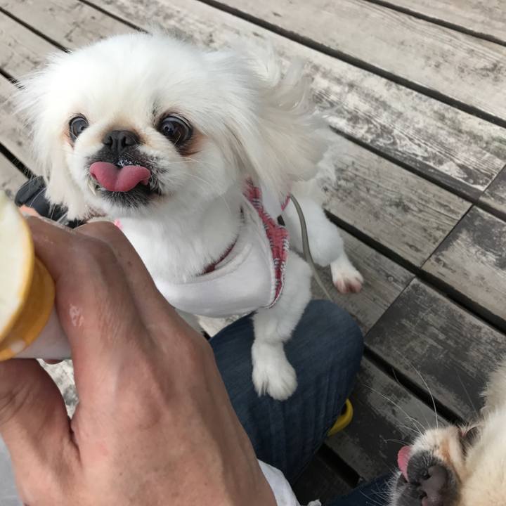 84668637 fb0d 4ddc 8ab1 fa58f6b8a4fc