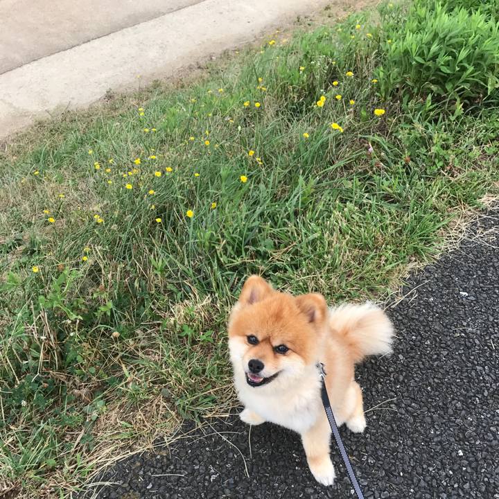 84668f50 f850 471f a48a 8f37acaef31f