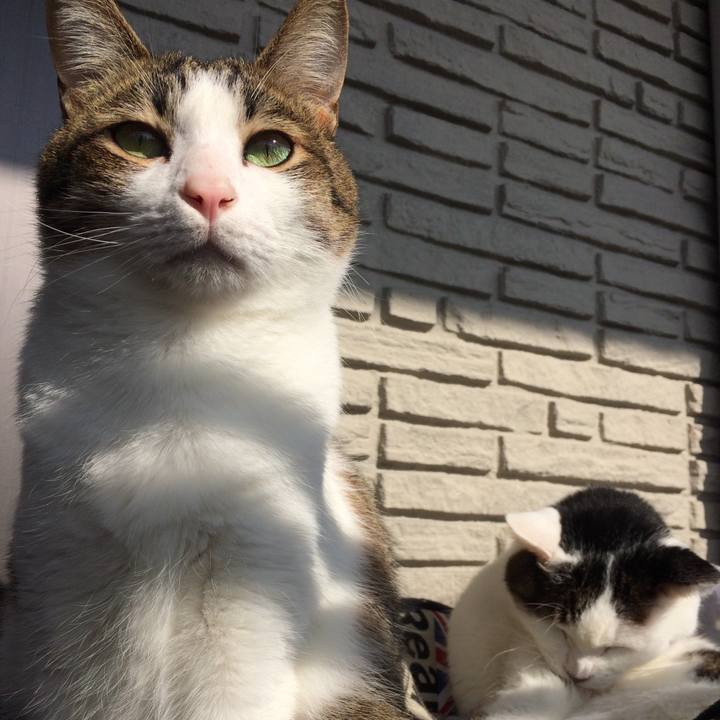 8466f769 bfad 4e2f b16a 46ff03bbb170