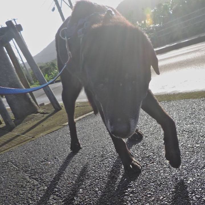 84689829 0996 41e1 ae75 868a98d3699d