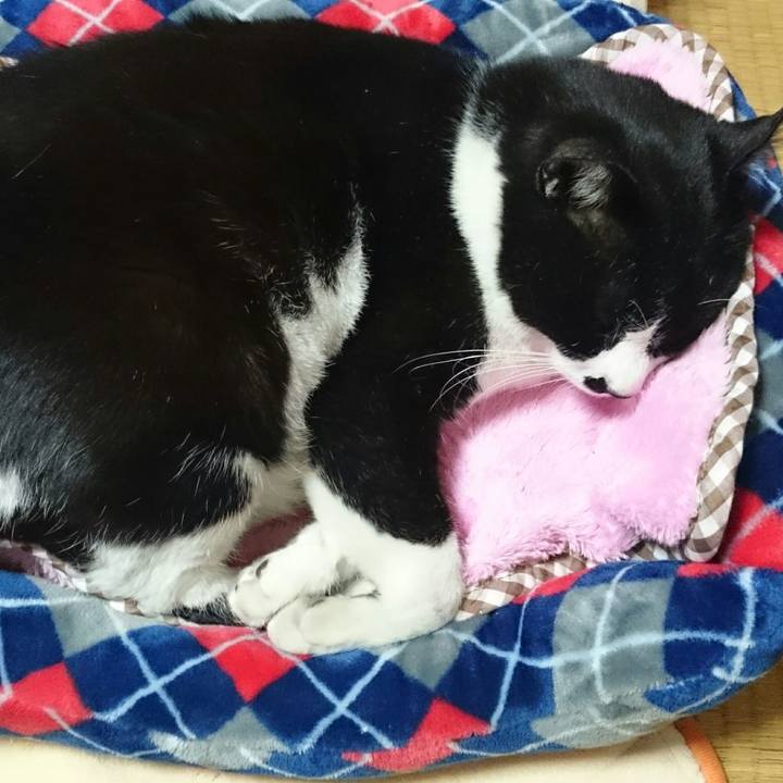 8468a848 37ae 4f52 b93b 00c3cacb471a