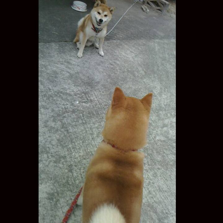 8468f49c c90c 465b bd23 6d99ab84352c