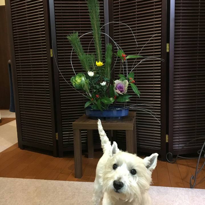 84691712 0411 4e6e 8db4 2dc91bfaf64c