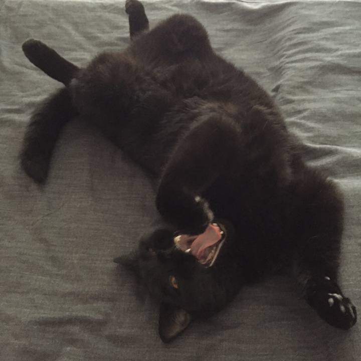 846965ea 633f 4e00 a87f 1b244ed066b7