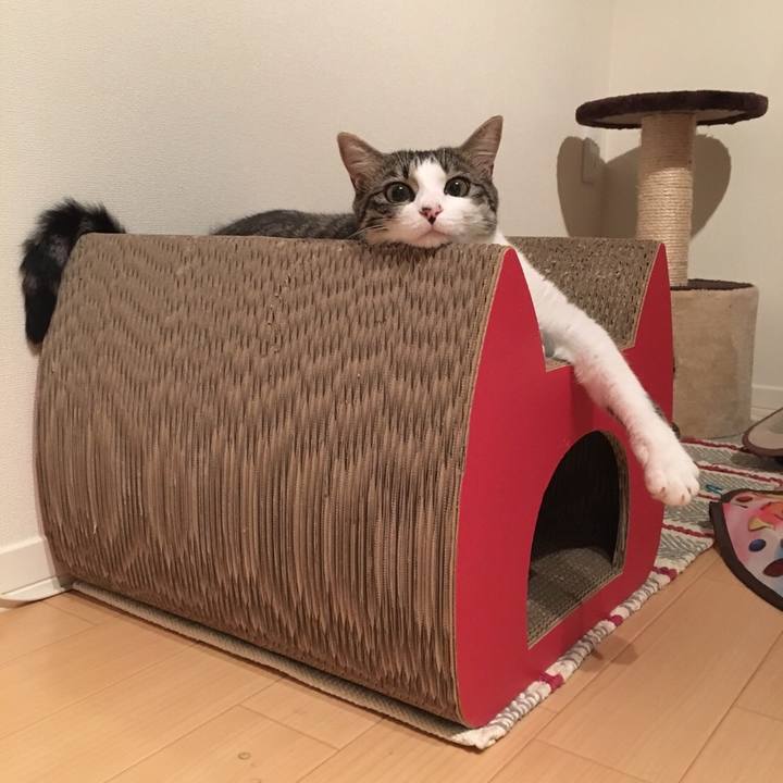 8469ae04 aff0 4556 92d9 094074d615c6