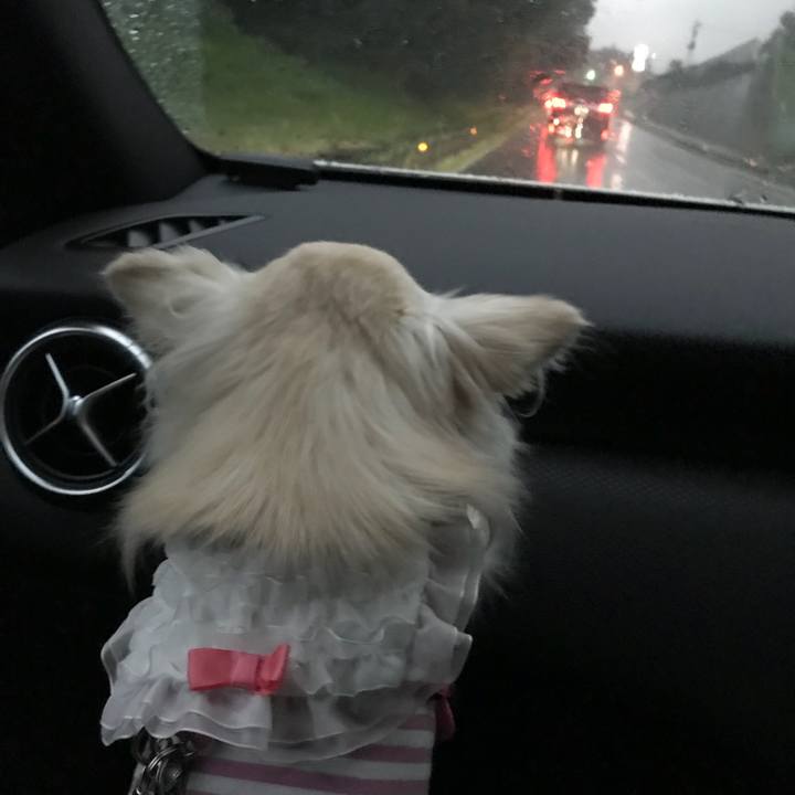 846a87f2 55c6 4690 89a1 b379396a591e