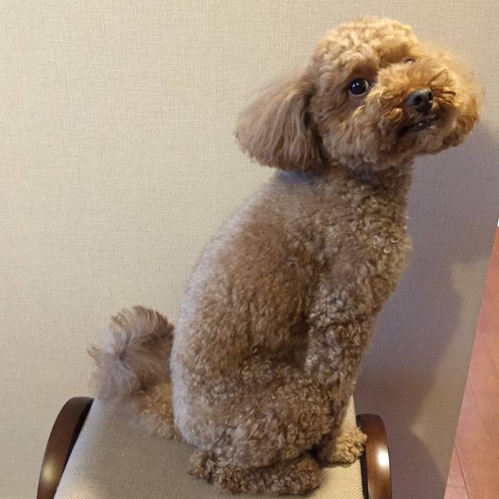 846b9b99 87e5 4de2 803d caad23b5aaeb