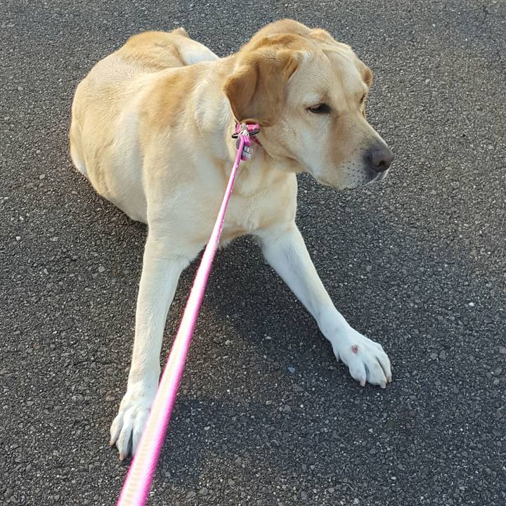 846baf13 dde8 42a2 895a e45125123e94