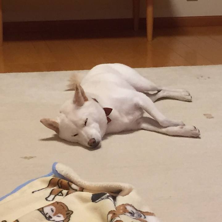 846bafe9 2bfe 47ee 8045 13b4a6b71d9f