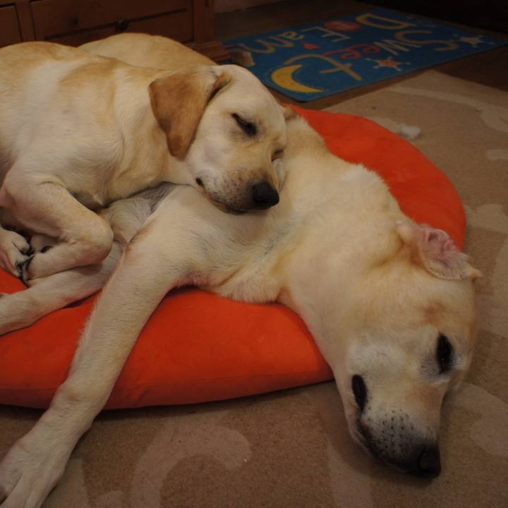 846c1393 0f82 4dd8 874a 84dae16409b1