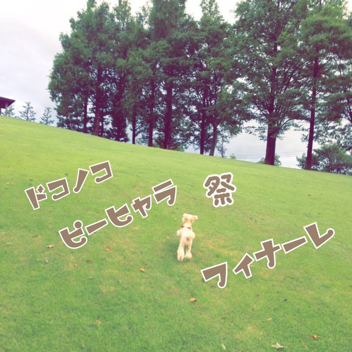 846c81ed c872 40a7 a93f 54e7b3e0f0ec