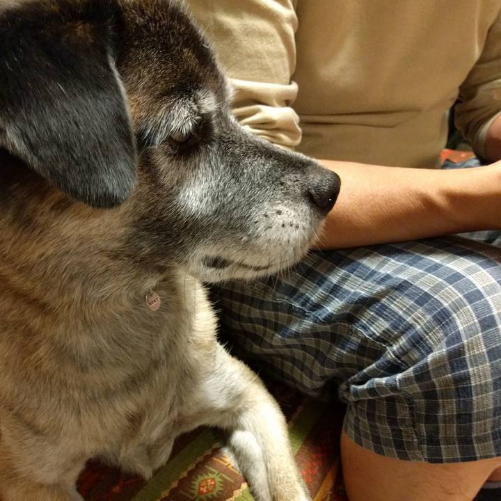 846c8804 1064 43a3 b7ad cfb3fbfb3bb4