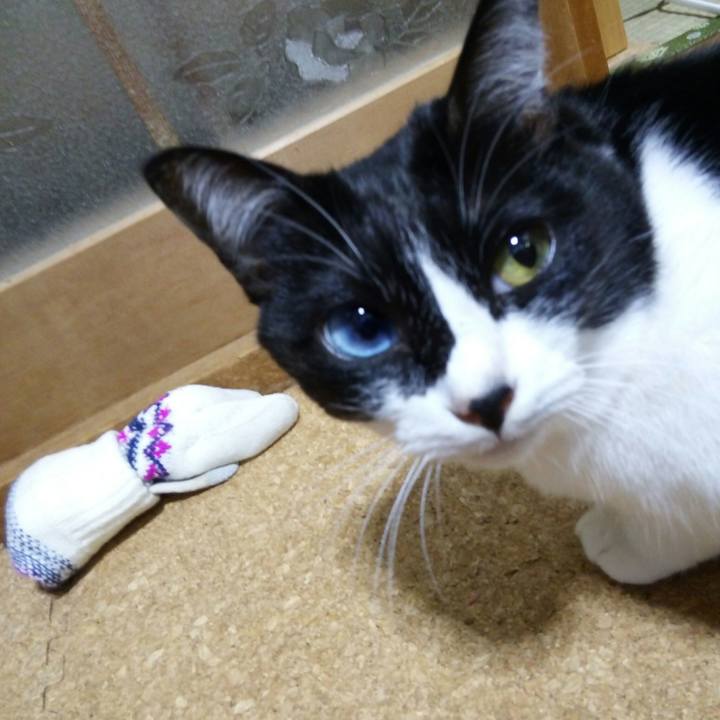 846ccf00 56d1 4260 9984 1c2623d1a728