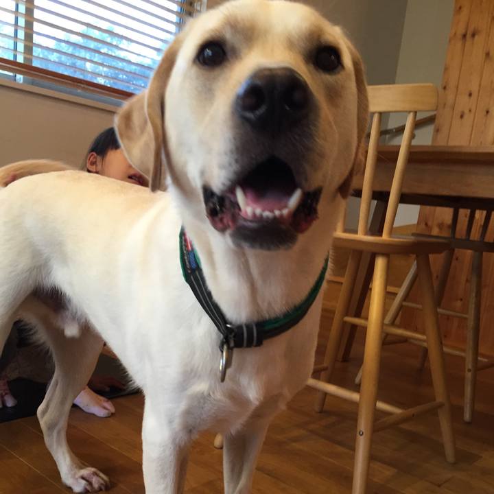 846ce260 2e37 41c9 be9c 8cfa6ecfb80e