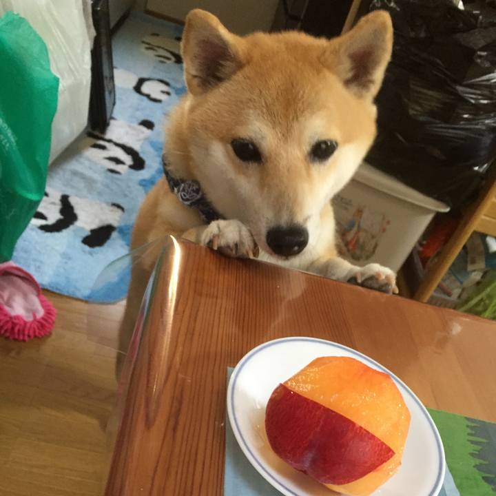 846d5baf fb52 4a83 9fb2 c7463e024dc1