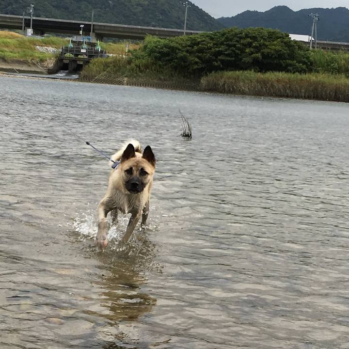 846d5eb0 d2b6 4eda a8ff 7fbcd4c5dd44