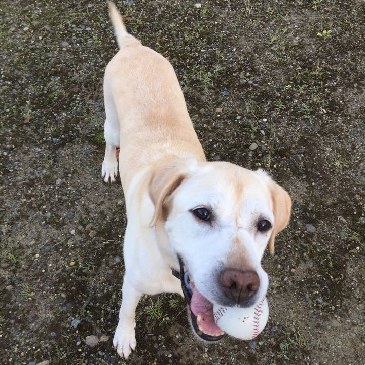 846d626a 21cb 4b2a 8c7e e9449cca7527