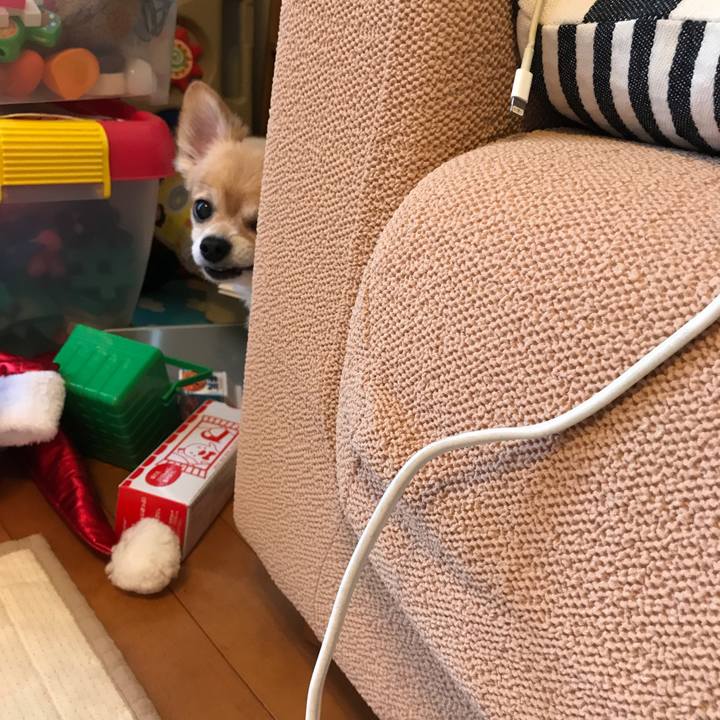 846e186c 8f21 4b30 888e dacefb0c1ef6