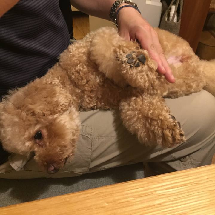 846e8307 eac7 4eae 9098 df3c46b66d82