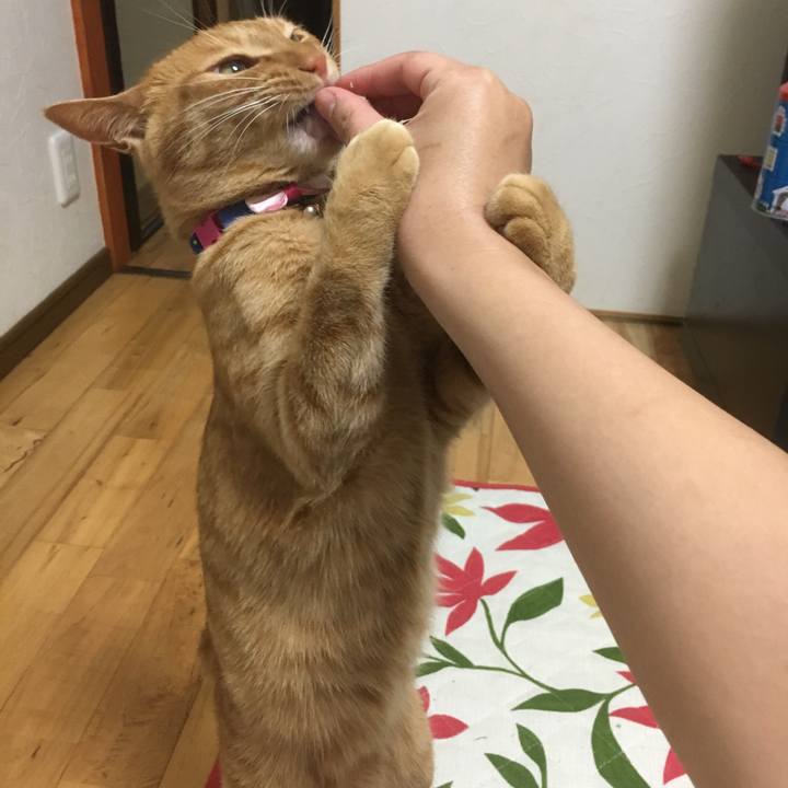 846f29ca 059d 4094 a904 0e6bdd9a45f6