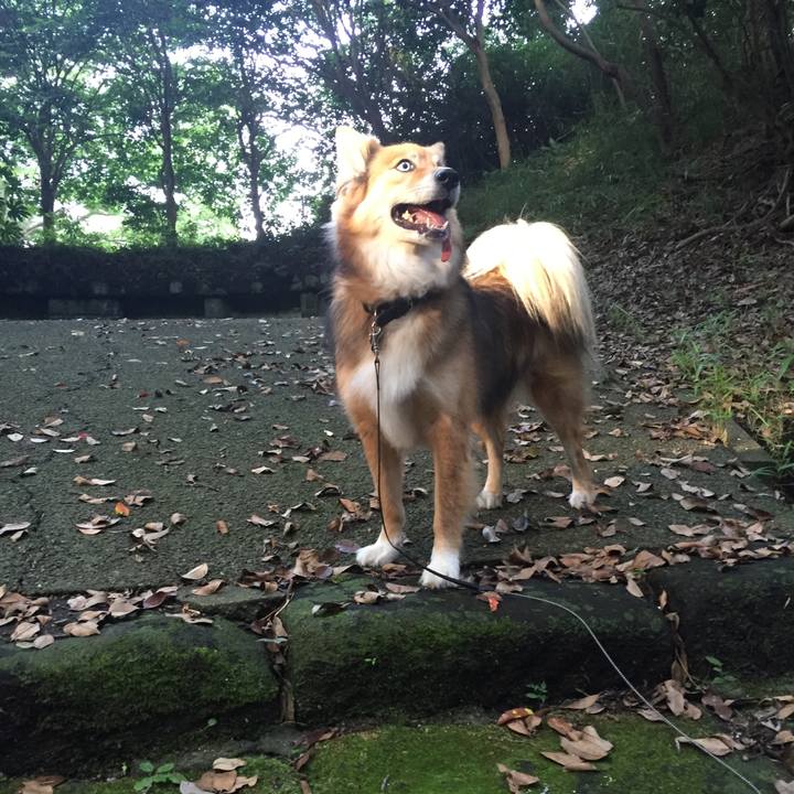 846f8ffc 559c 4a8d aa2c 9efe8f675ed0