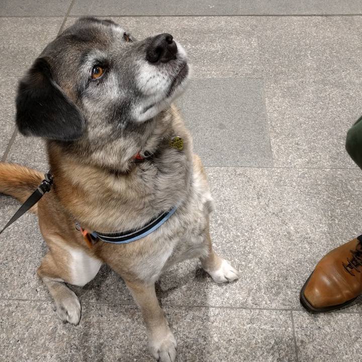 84701c1f 9afd 4ca5 bc59 180d6470d1f8